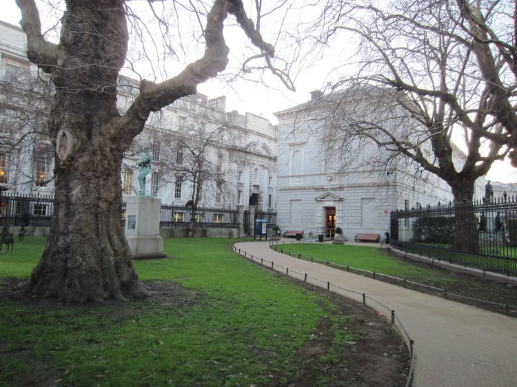 Dublin National Museum of Natural History - Ireland  1