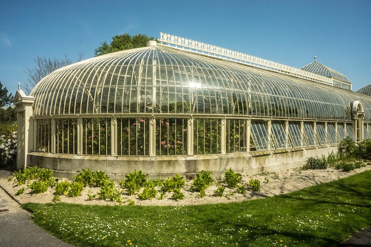 Dublin National Botanic Gardens Audio Guide - Ireland 2