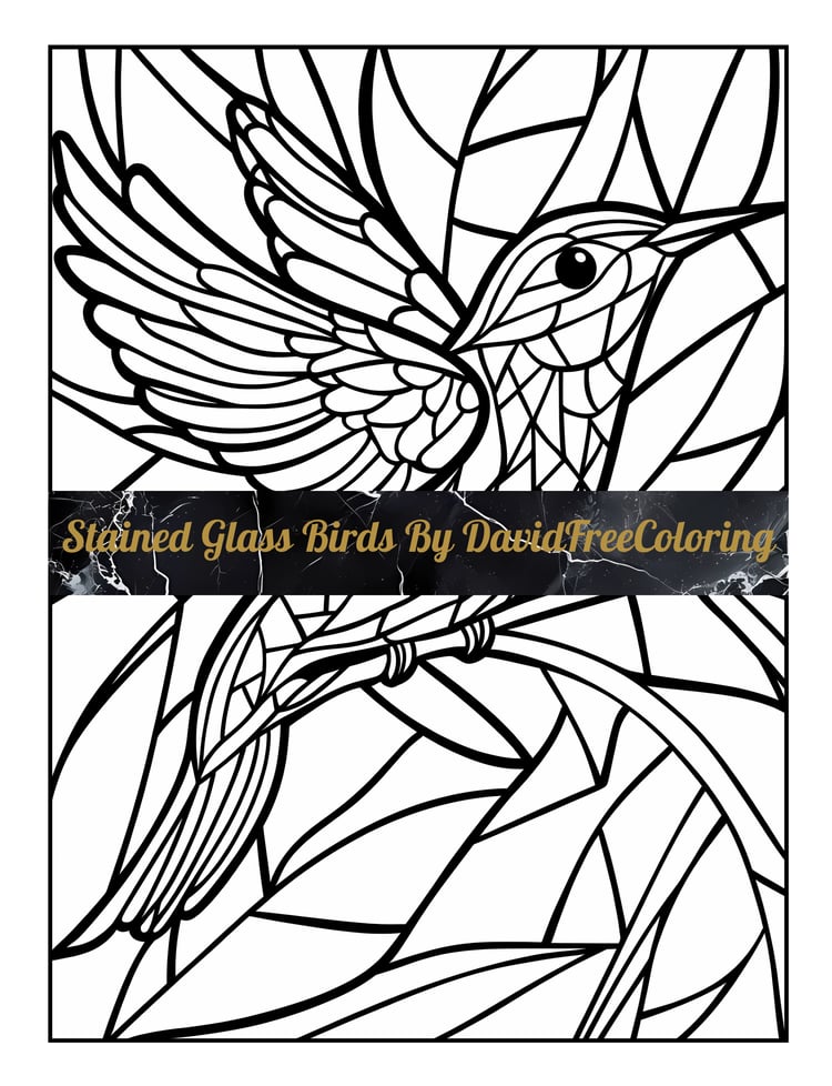 Stained Glass Birds Coloring Book is a coloring book for adults with 30 Bird images in a Stained Glass look; eagles, parrots, owls, hummingbirds and more. Have fun coloring them creatively, both through the download of PNG and PDF files