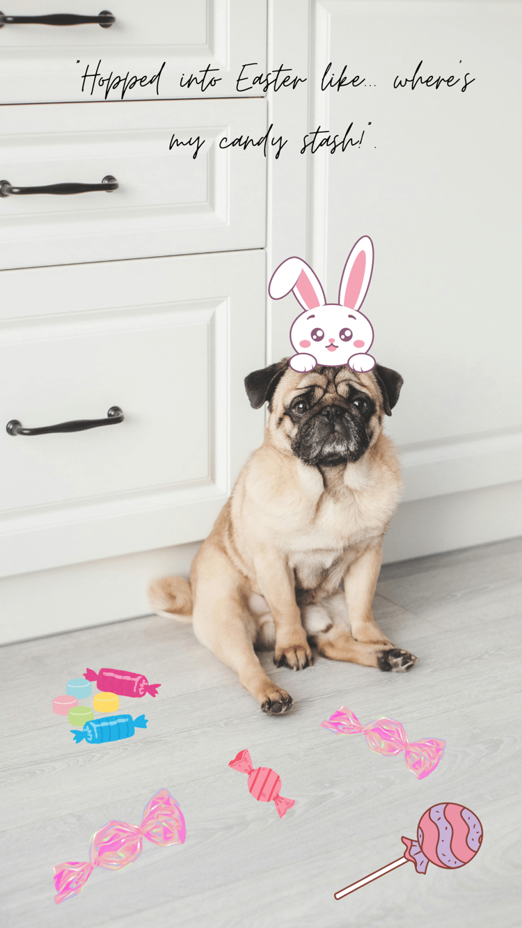 pug puppy easter bunny wallpaper with quote happy easter