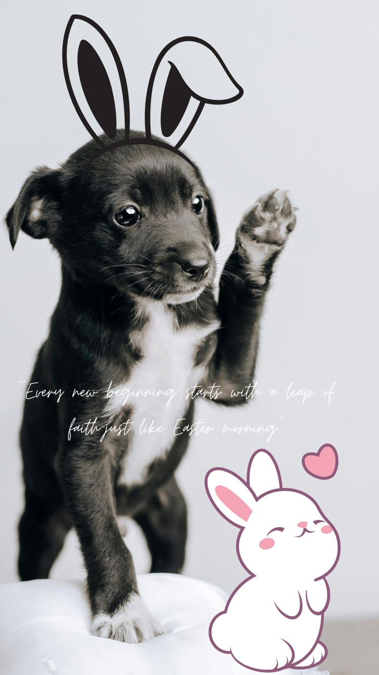 Black puppy with bunny ears meme cute cursive quote wallpaper bunny sticker