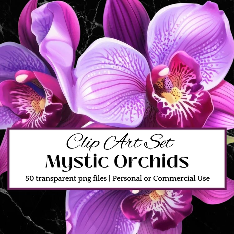 Orchid Clip Art