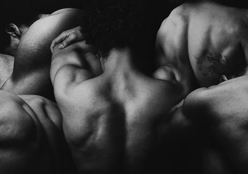 Cours d'anatomie en ligne