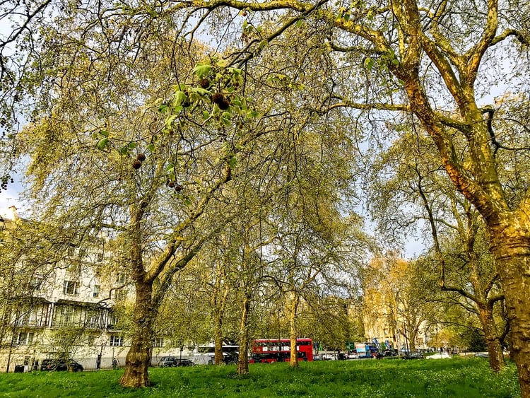 London Hyde Park Audio Guide - UK 2