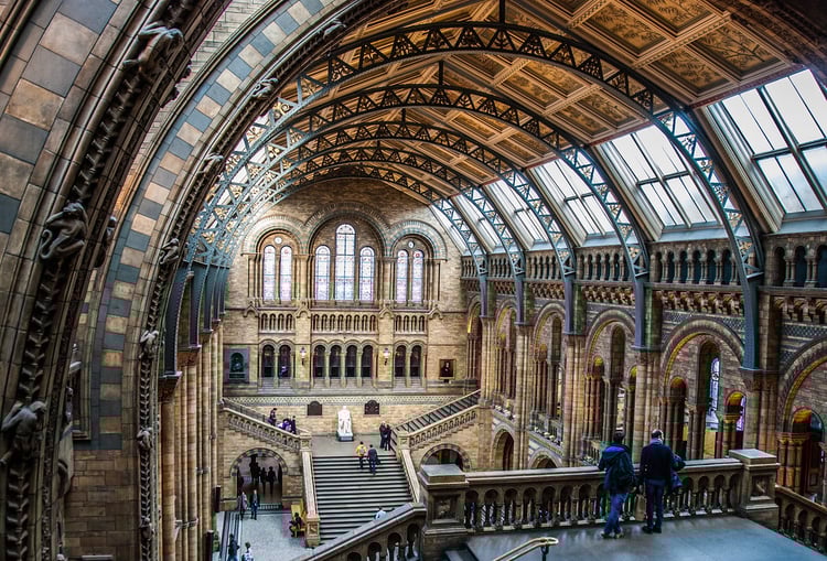 London Natural History Museum Audio Guide - UK 2