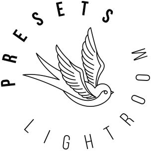 Presets for Adobe Lightroom