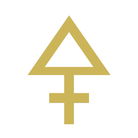 Subconscious reprogramming for success Transformational coaching for women Hypnosis for confidence and clarity Energy healing for high-achievers Break free from limiting beliefs Mind-body-spirit alignment coaching Deep subconscious healing for professionals Personal transformation coaching for women leaders Overcoming self-doubt with hypnosis Empowerment coaching for ambitious professionals Tamas Pocze Animus Alchemy