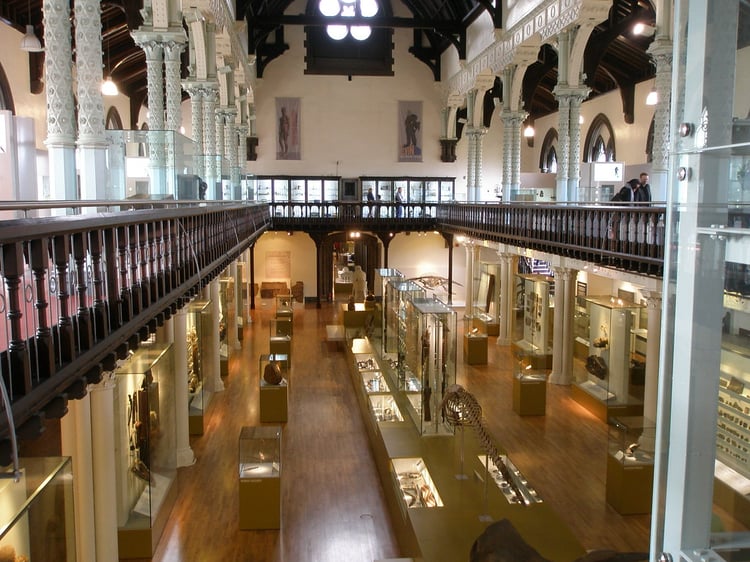 Glasgow Hunterian Museum Audio Guide - UK 1