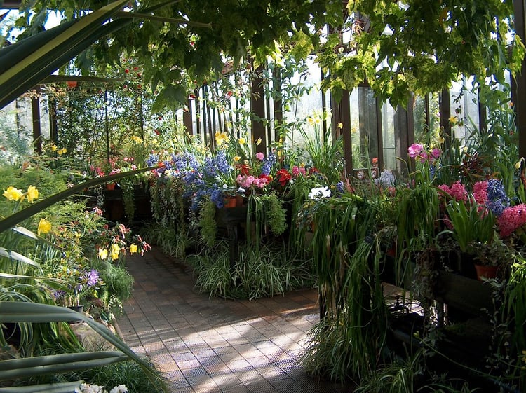 Glasgow Botanic Gardens Audio Guide - UK 2