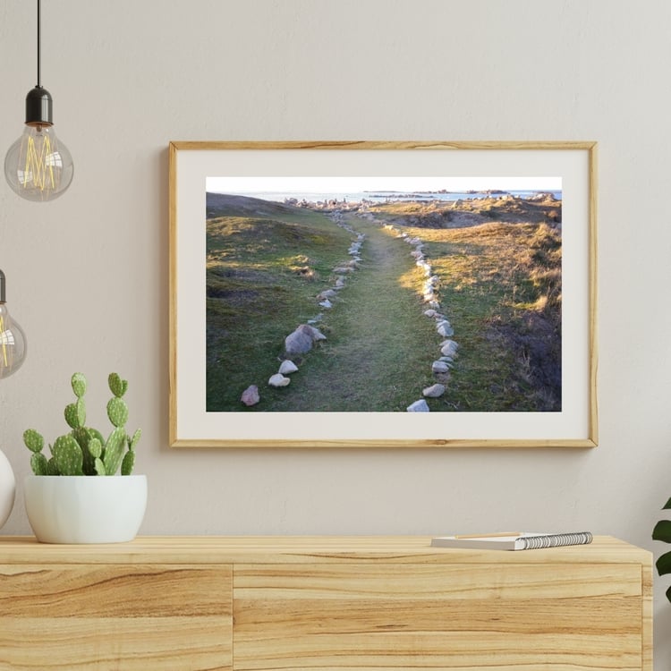 Cadre tableau image photo BRETAGNE Landrellec Chemin Landes