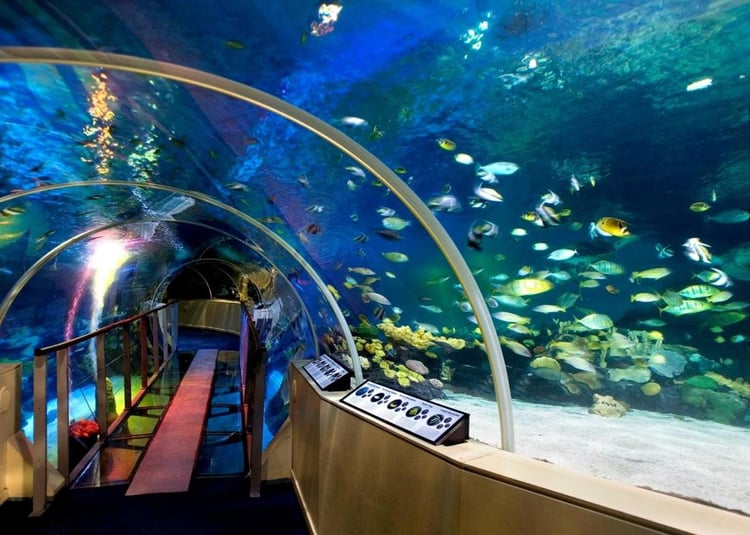 Birmingham National SEA LIFE Centre Audio Guide - UK 2
