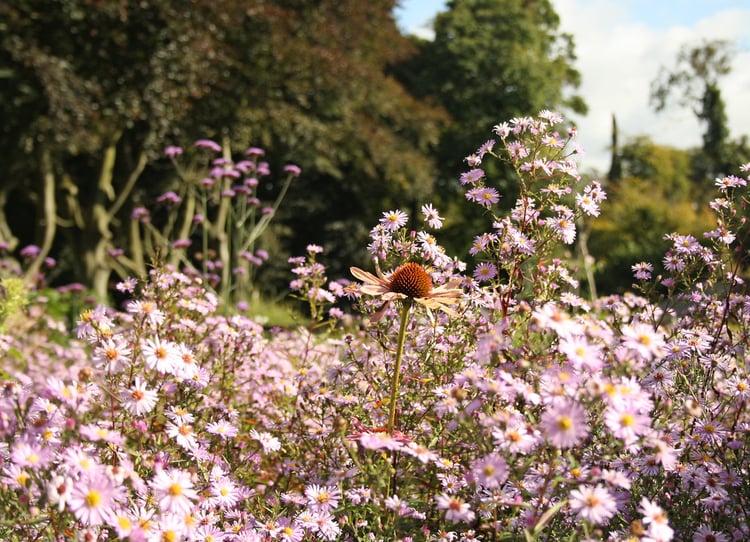 Birmingham Winterbourne House and Garden Audio Guide - UK 2