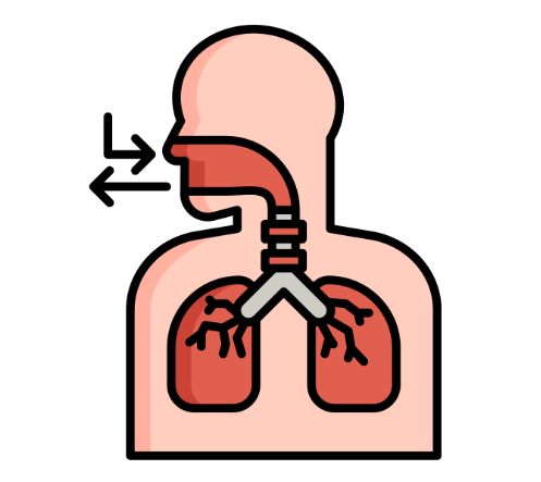 cellular respiration VCE Biology