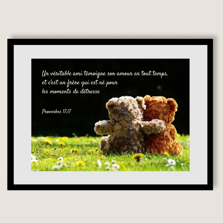 Cadre tableau image JW textes bibliques Proverbes 17:17 Amitié