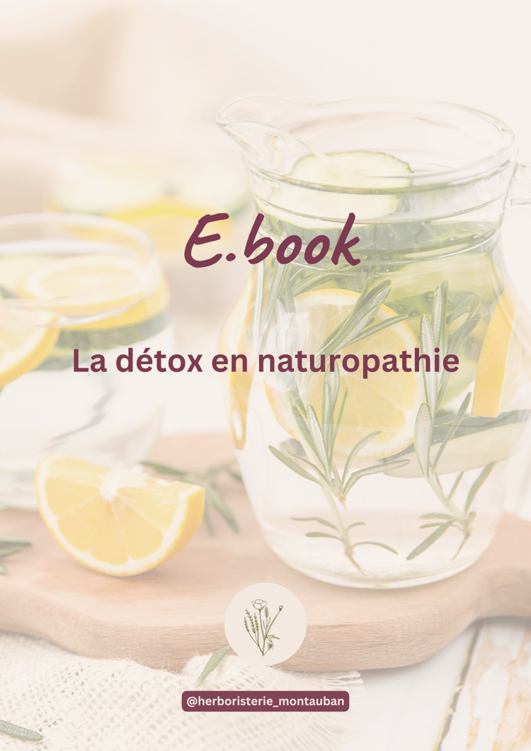 ebook la détox en naturopathie