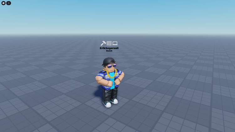 Premium and Developer badges displayed within the game interface.