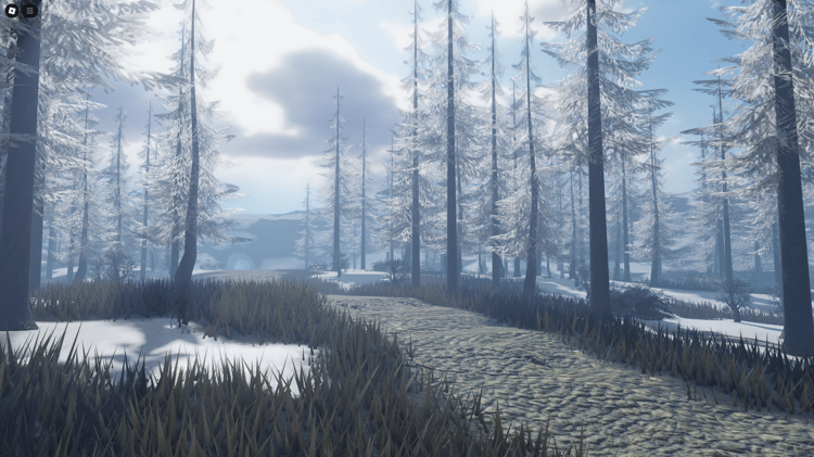 Alpine road winding through a dense winter forest with snowy trees