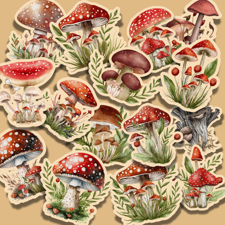 Watercolor lone mushroom sticker with rich earthy hues, transparent background