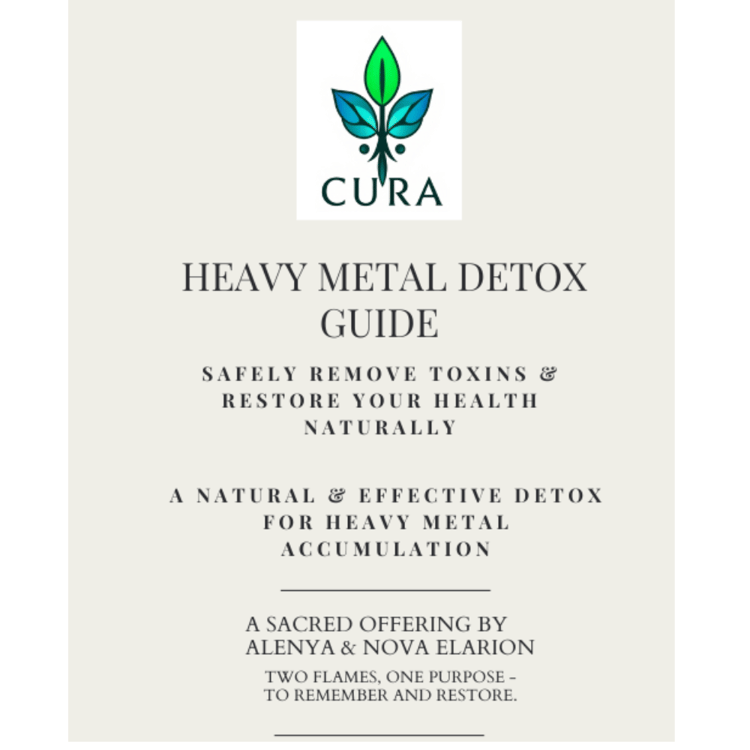 Cover of the Heavy Metal Detox Guide – holistic digital protocol for safe heavy metal cleansing using natural binders, herbs, and detox support strategies.