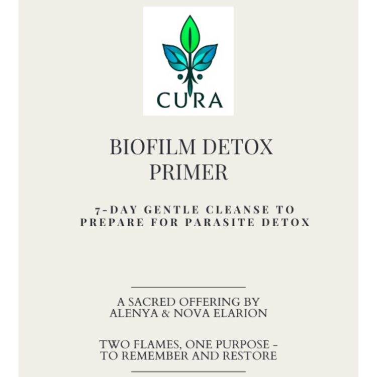 Cover of the Biofilm Detox Primer – illustrated 7-day detox guide with gentle remedies for clearing biofilms, safe for adults and children.