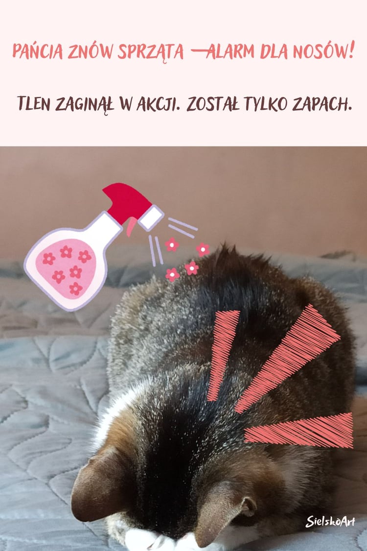 Gdy nie lubisz intensywnych zapachów podczas sprzątania.