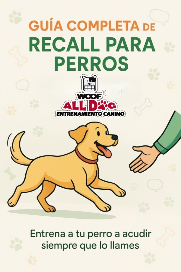 Acudir al llamado para perros
