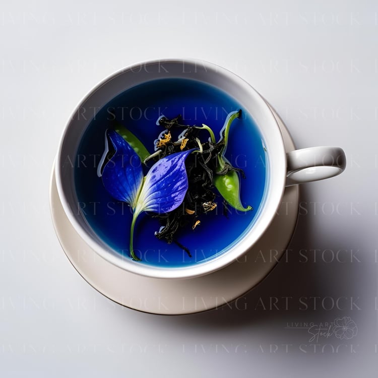Blue Butterfly Pea Flower Tea
