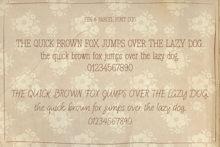 vintage inspired serif and handwriting script font duo