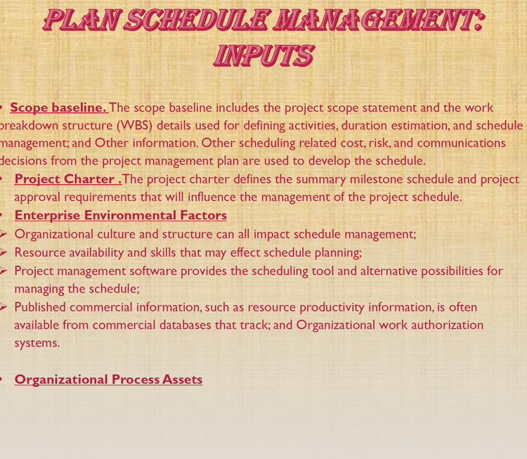 plan schedule management input