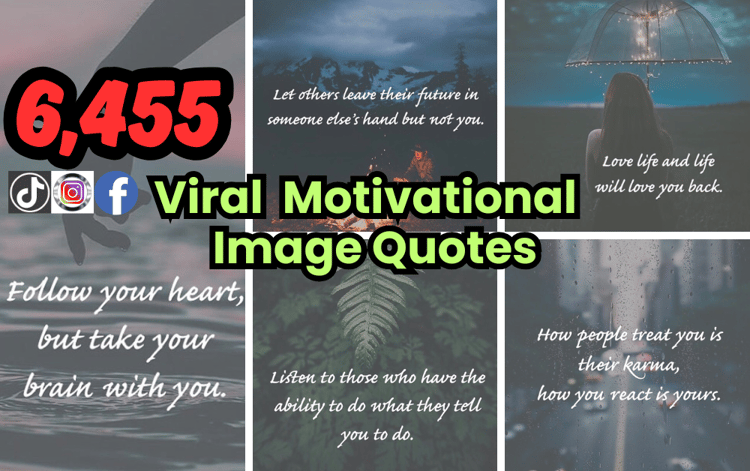 motivational quotes
