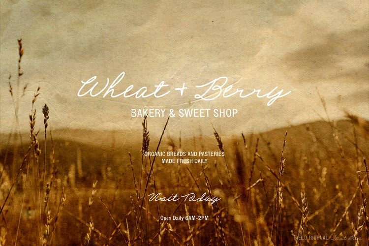 Field Journal Sans font is a multilingual vintage-inspired sans serif font with imperfect edges to add a rustic touch