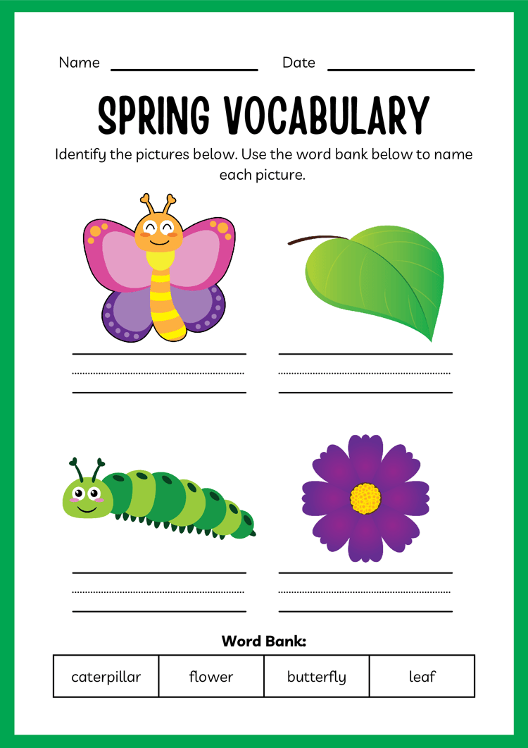 Workbook in Colourful