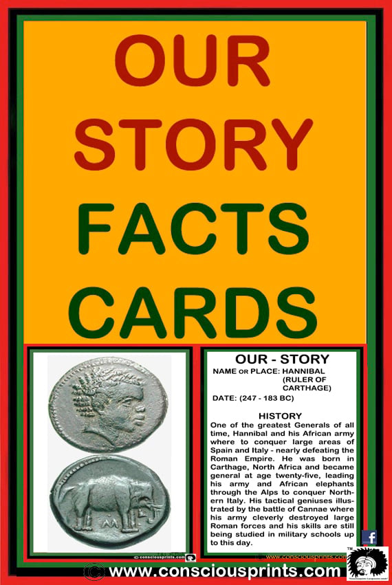 DIGITAL FACTS CARDS