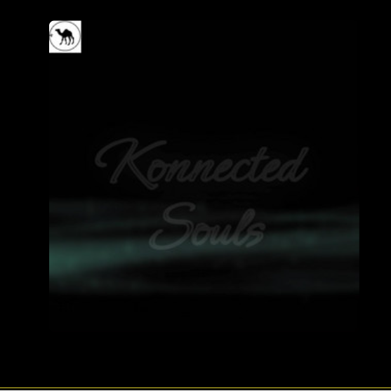 Konnected Souls SZA