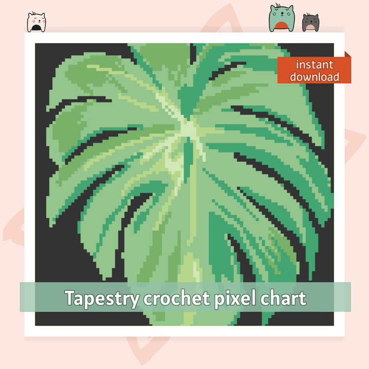philodendron verrucosum fantasy Philodendron verrucosum