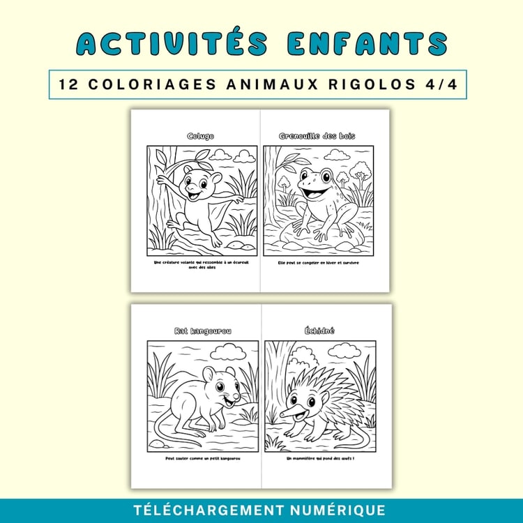 Coloriages Enfants JW- Animaux Rigolos de la Création (PDF A4)