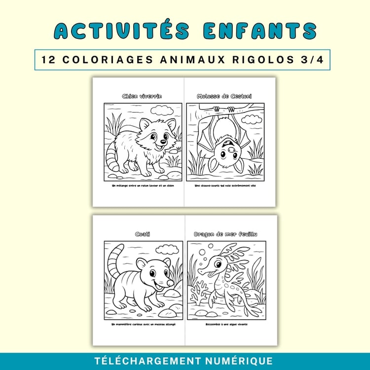 Coloriages Enfants JW- Animaux Rigolos de la Création (PDF A4)