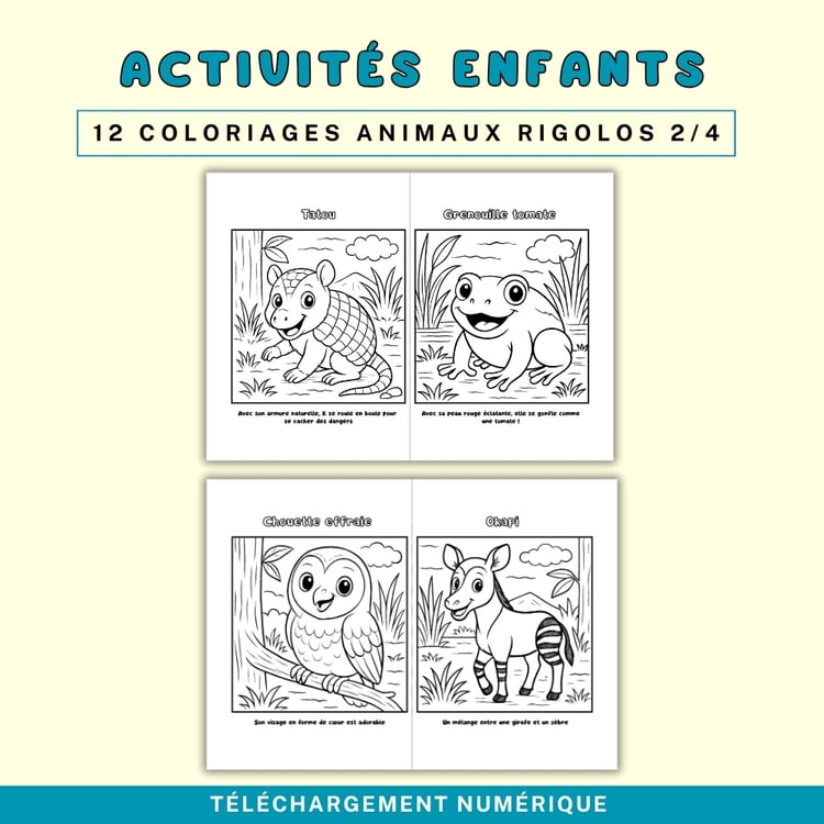 Coloriages Enfants JW- Animaux Rigolos de la Création (PDF A4)