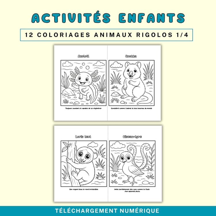 Coloriages Enfants JW- Animaux Rigolos de la Création (PDF A4)