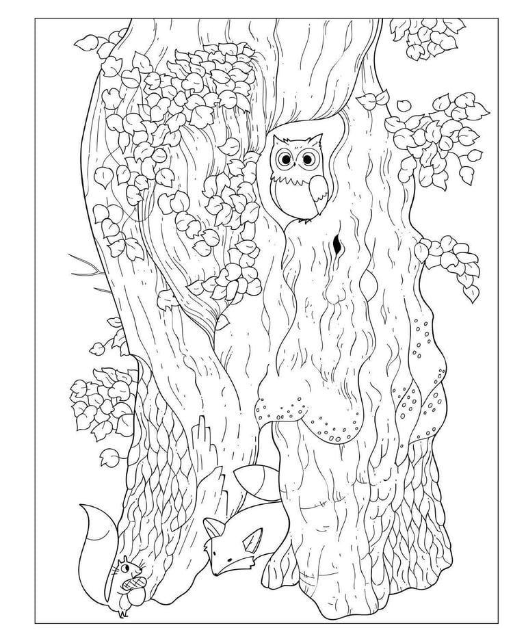 Baby Animals Coloring book