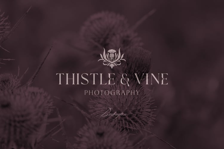 hand drawn vintage-inspired thistle and leaf illustration canva logo