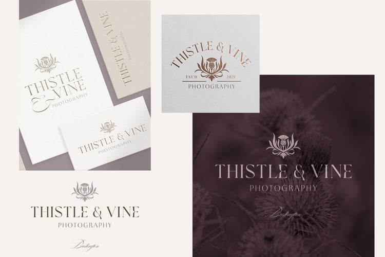 hand drawn vintage-inspired thistle and leaf illustration canva logo