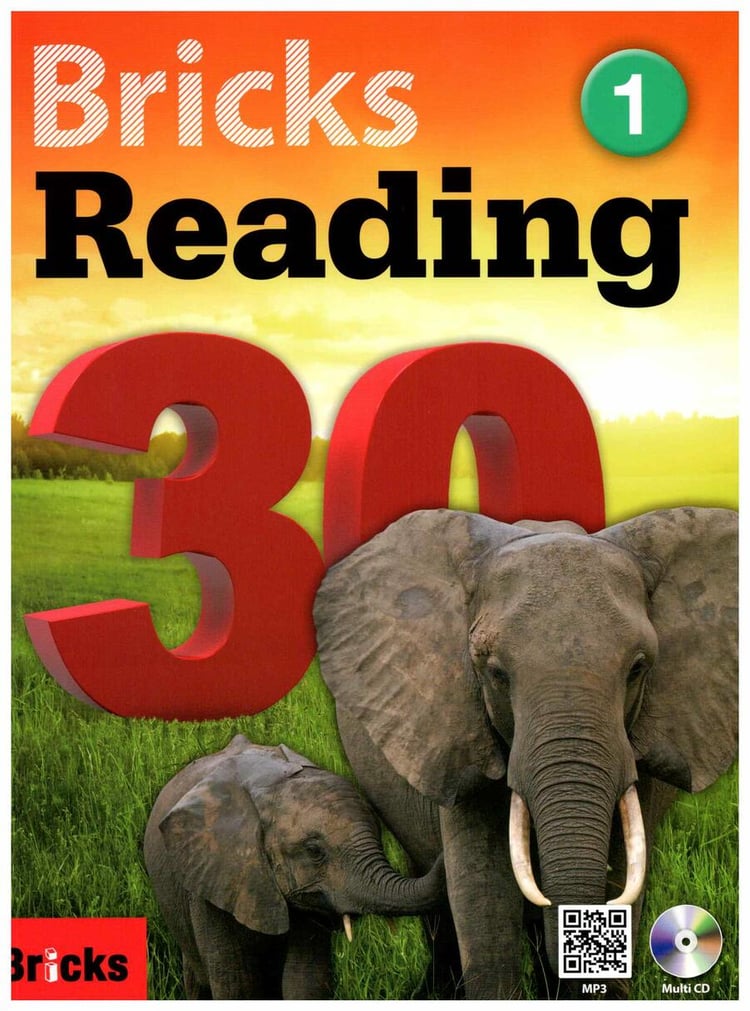 Bricks Reading 30-1 Student Worksheet