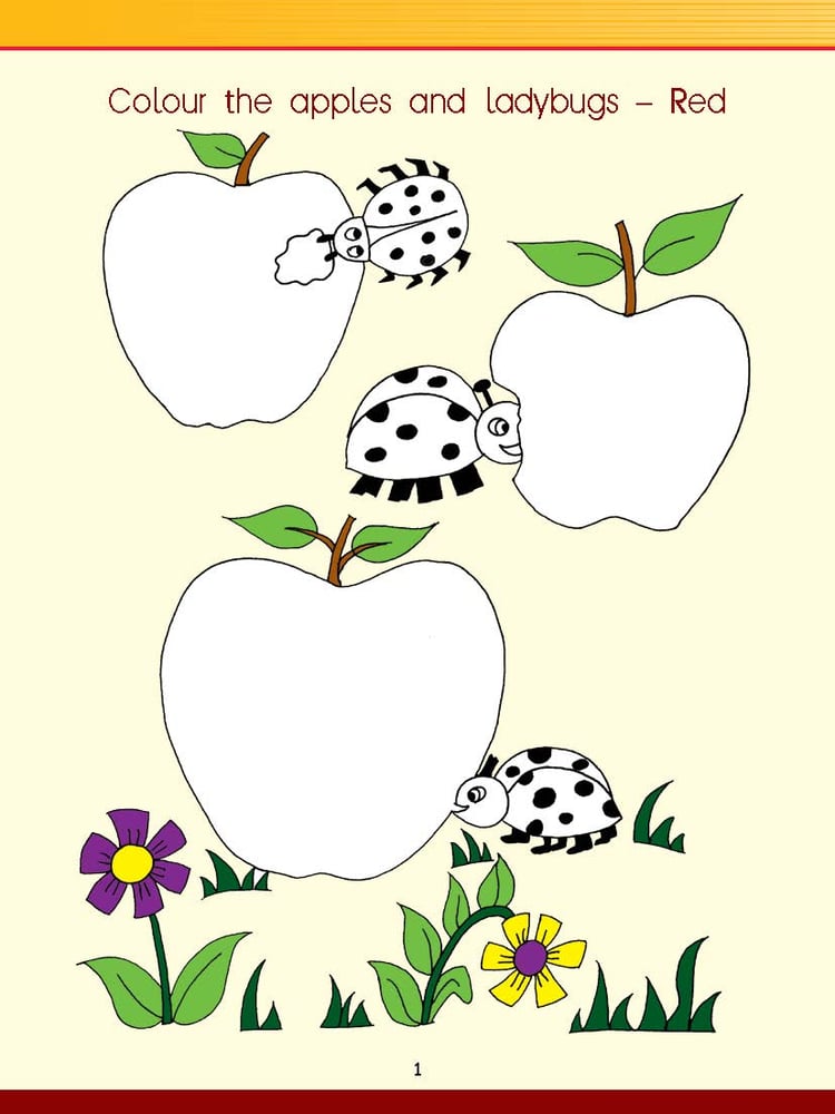 General Knowledge Activity Worksheet