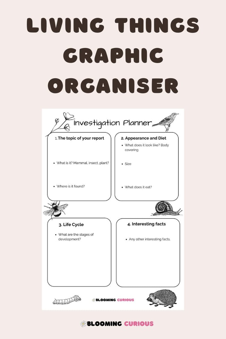 Living things graphic organiser