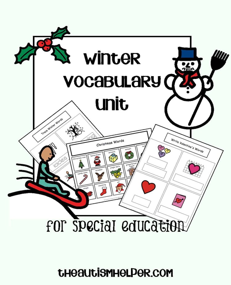 Winter Vocabulary Unit for Special Education