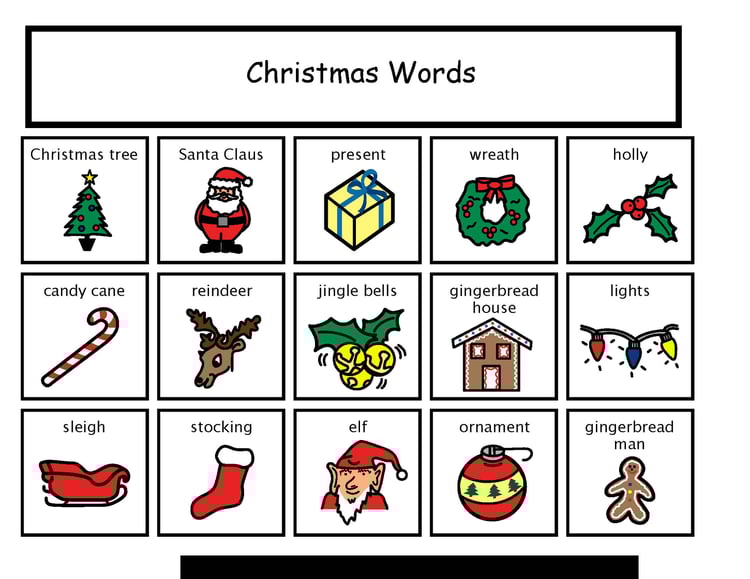 Winter Vocabulary Unit for Special Education