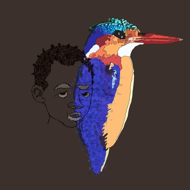 face and bird feathers