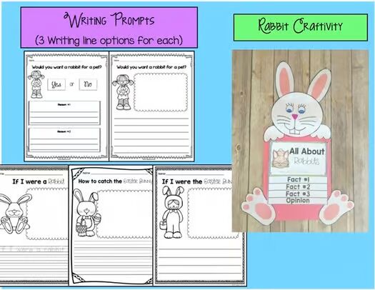 Rabbits Literacy Unit - Nonfiction and Fiction Activities PLUS a Fun Craft