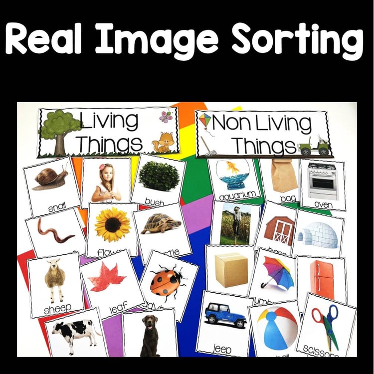 Living and Nonliving Things Living Science Unit  Kindergarten and First Grade